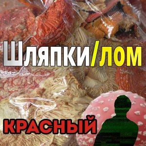 Мухомор красный сухой | Шляпки/лом