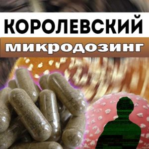 Королевский микродозинг | Мухомор королевский - капсулы по 0,3 гр.