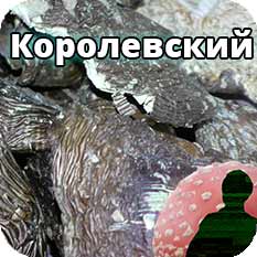 Мухомор королевский сухой | Шляпки/лом