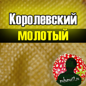 Мухомор королевский молотый