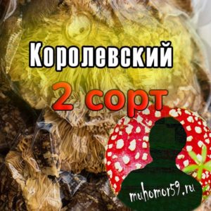 Мухоморы королевские -  2 сорт | шляпки